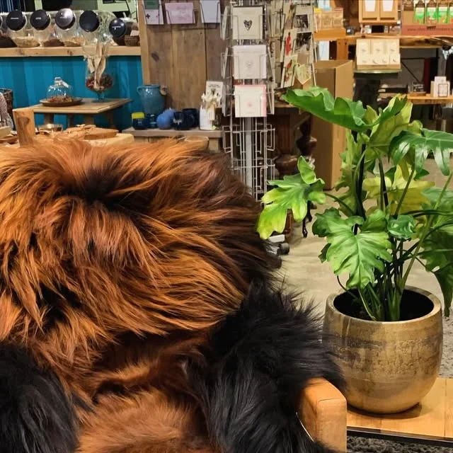 De winkel van Padero Lifestyle in de Kerkstraat